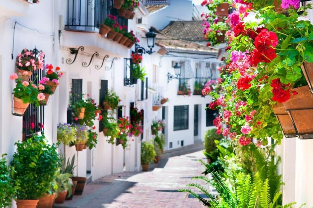 Studio Vista Costa Del Sol Benalmádena Exterior photo